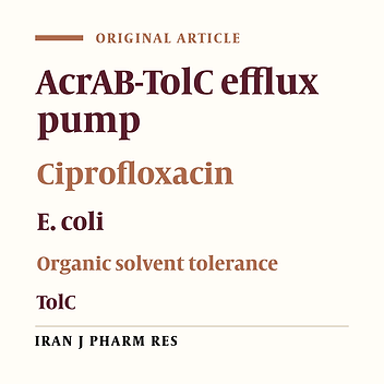 Expression of TolC and Organic Solvent Tolerance of Escherichia Coli Ciprofloxacin Resistant Mutants