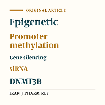 Study of the Role of siRNA Mediated Promoter Methylation in DNMT3B Knockdown and Alteration of Promoter Methylation of CDH1, GSTP1 Genes in MDA-MB -453 Cell Line
