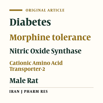 How Nitric Oxide Increases in Diabetic Morphine Tolerated Male Rats