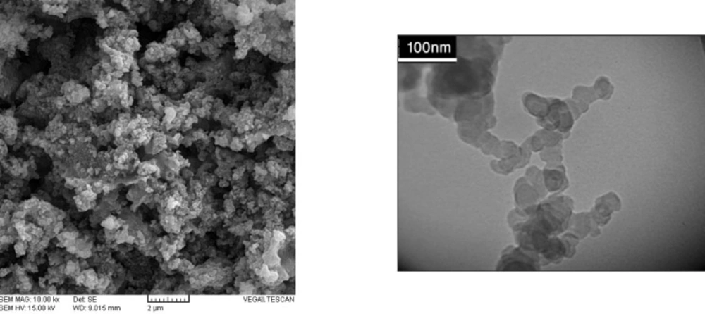 <b>A) </b>SEM image of Pd/Fe<sub>3</sub>O<sub>4</sub> NPs. <b>B) </b>TEM image of Pd/Fe<sub>3</sub>O<sub>4</sub> NPs