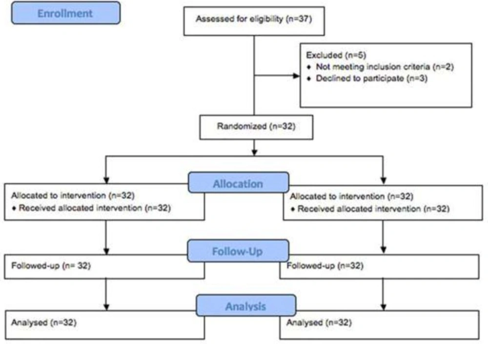 Consort diagram detailing the study subjects