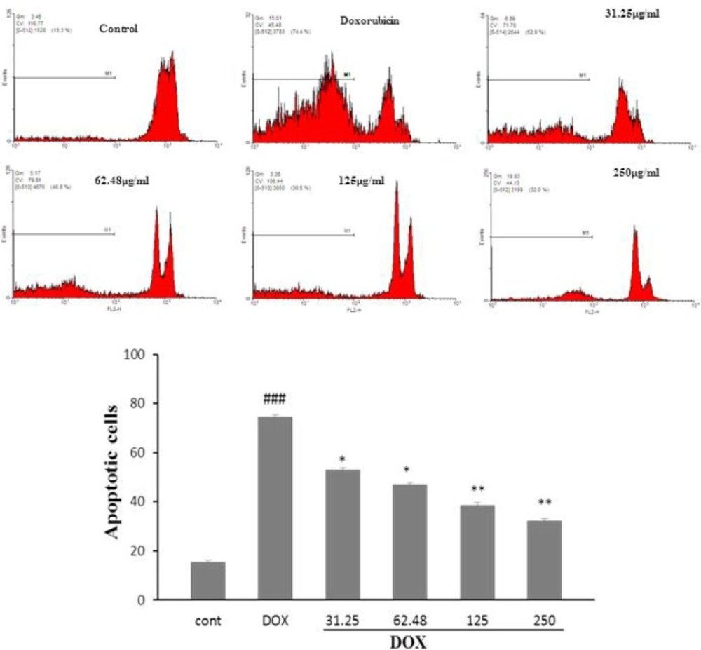 The effects of the HSE on apoptosis in H9c2 cells using PI staining and flow cytometry. <sup>###</sup>𝑃 < 0.001 versus control, <sup>**</sup>𝑃 < 0.01and <sup>*</sup>𝑃 < 0.5 versus DOX
