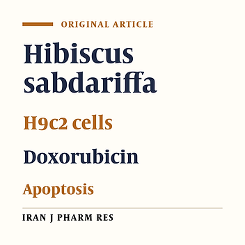Protective Effect of Hibiscus Sabdariffa on Doxorubicin-induced Cytotoxicity in H9c2 Cardiomyoblast Cells