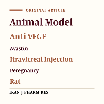 Teratogenic Effects of Intravitreal Injection of Bevacizumab in a Pregnant Rat Model