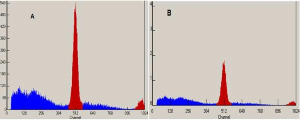 MCA Chromatograms of <sup>18</sup>F-FDG after synthesis (A) and 10h later (B) at 35 - 40 ºC
