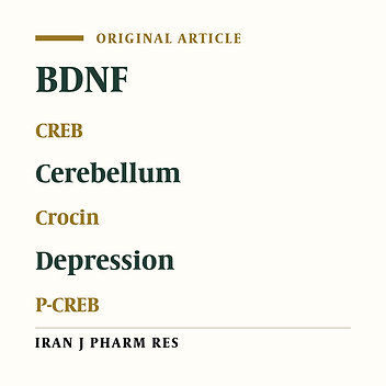 Study of the Role of CREB, BDNF, and VGF Neuropeptide in Long Term Antidepressant Activity of Crocin in the Rat Cerebellum