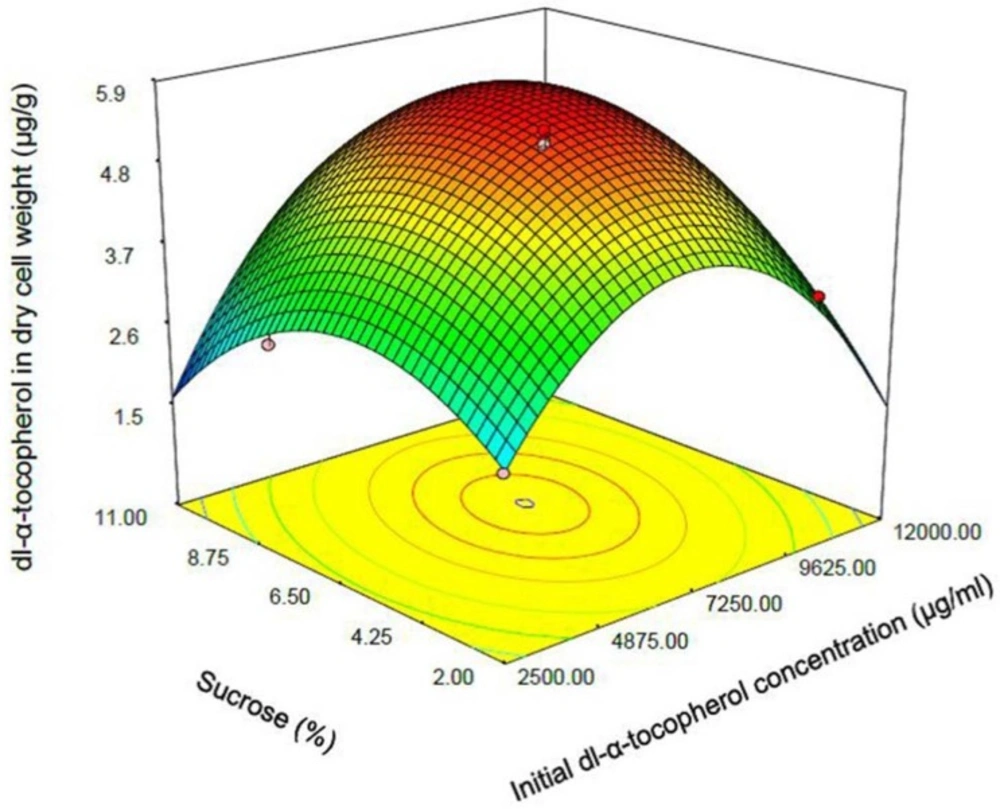 Response surface plot indicating the effect of sucrose (% w/v) added to culture medium and initial dl-α-tocopherol concentration interaction on dl-α-tocopherol amount per dry cell weight of <i>S. cerevisia</i>
