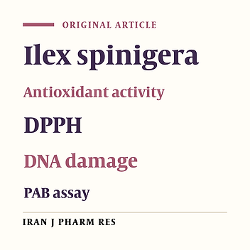 In-vitro Evaluation of Protective Effects on DNA Damage and Antioxidative Activities of Ilex Spinigera Loes. Extracts