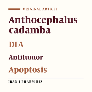 Antiproliferative Activity and Apoptosis Inducing Mechanism of Anthocephalus cadamba on Dalton’s Lymphoma Ascites Cells