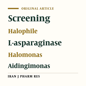 L-Asparaginase Activity in Cell Lysates and Culture Media of Halophilic Bacterial Isolates