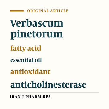 UHPLC-ESI-MS/MS and GC-MS Analyses on Phenolic, Fatty Acid and Essential Oil of Verbascum pinetorum with Antioxidant, Anticholinesterase, Antimicrobial and DNA Damage Protection Effects