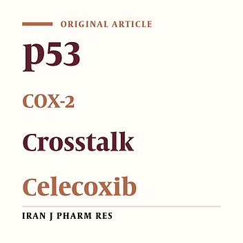 Celecoxib Treatment Alters p53 and MDM2 Expression via COX-2 Crosstalk in A549 Cells