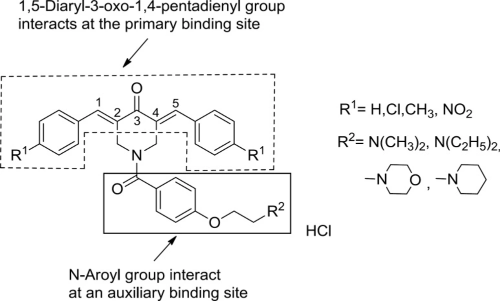The proposed primary and auxiliary binding sites of cytotoxic N-aroyl-3,5-bis(benzylidene)-4-piperidone analogs