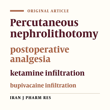 Analgesic Efficacy of Nephrostomy Tract inFiltration of Bupivacaine and Ketamine after Tubeless Percutaneous Nephrolithotomy: A Prospective Randomized Trial