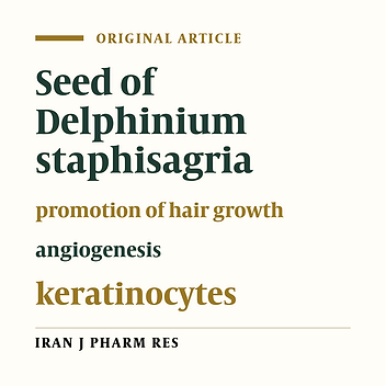 Promotion of Hair Growth by Traditionally Used Delphinium Staphisagria Seeds through Inducti on of Angiogenesis