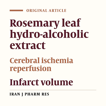 The Neuroprotective Effect of Rosemary (Rosmarinus officinalis L.) Hydro-alcoholic Extract on Cerebral Ischemic Tolerance in Experimental Stroke