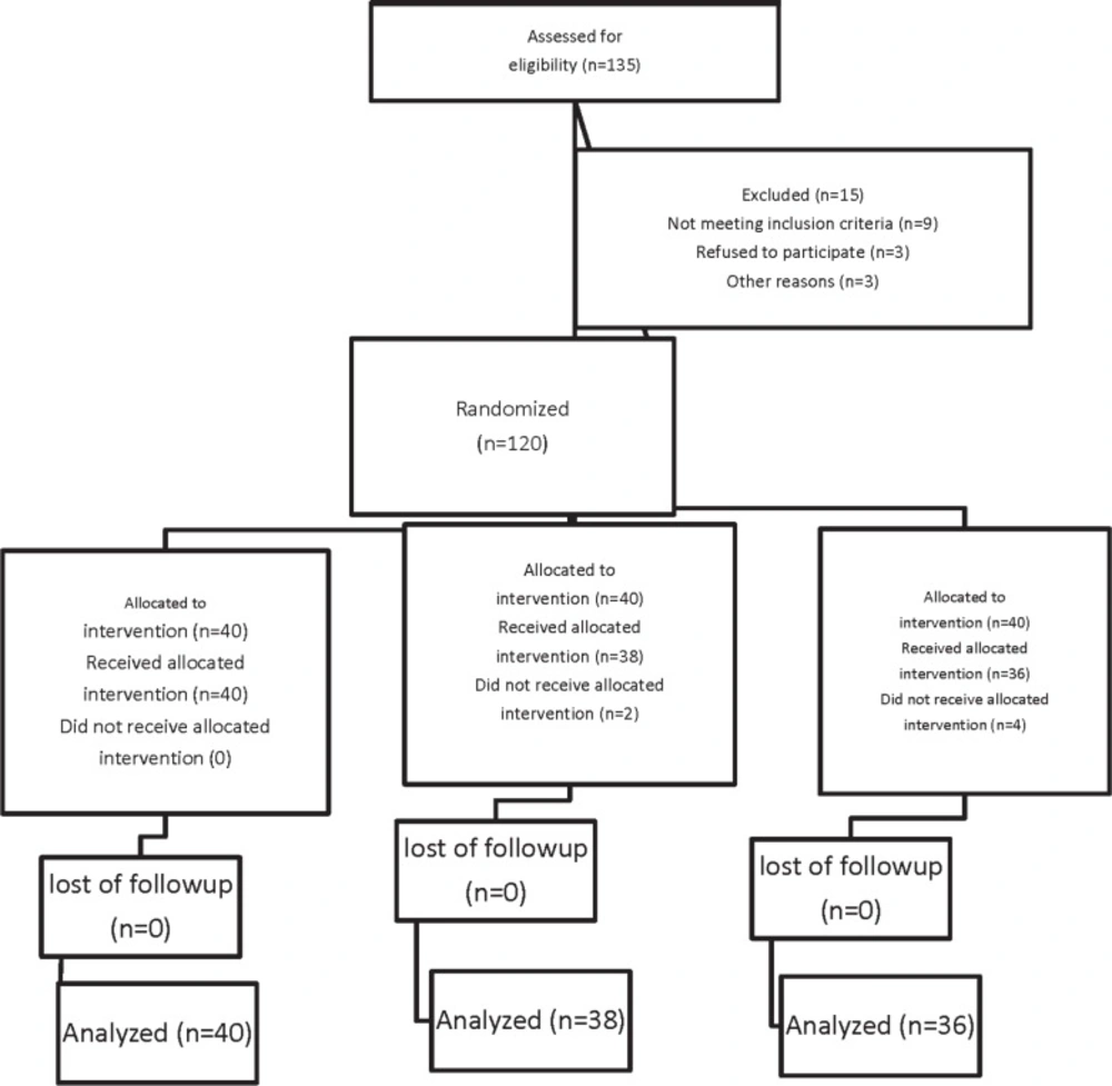 Consort flow diagram.