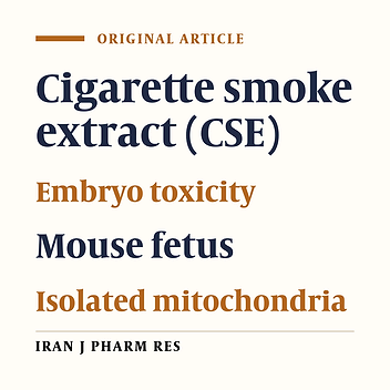 Toxicity Mechanisms of Cigarette Smoke on Mouse Fetus Mitochondria