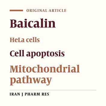 Effects and Mechanism of Baicalin on Apoptosis of Cervical Cancer HeLa Cells In-vitro