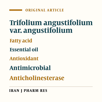 Fatty Acid and Essential Oil Compositions of Trifolium angustifolium var. angustifolium with Antioxidant, Anticholinesterase and Antimicrobial Activities