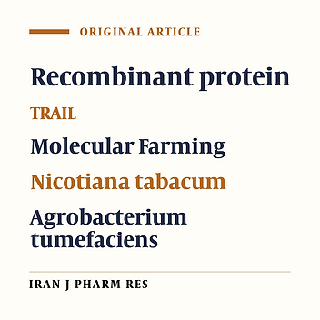 Cloning and Expression of TNF Related Apoptosis Inducing Ligand in Nicotiana tabacum