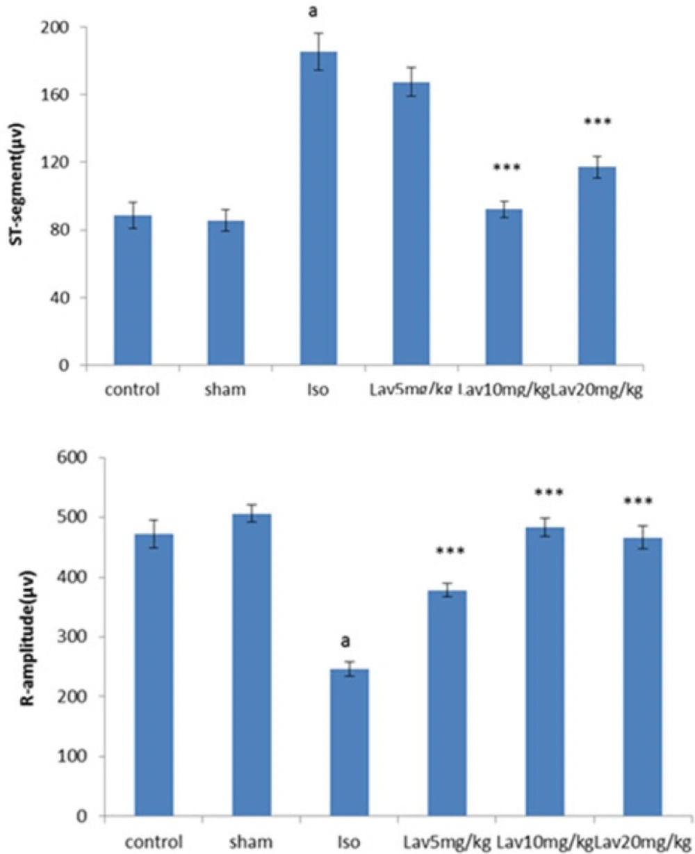 Effects of the essential oil of <i>L. angustifolia</i> on ST-segment height and R-amplitude. Values are mean ± SEM (n=6). ᵃP<0.001 from respective control value, ***P<0.001 as compared with isoproterenol treated group using one way ANOVA with Student-Newman-Keuls post hoc test. Iso: Isoproterenol, Lav: <i>L. angustifolia</i> essential oil.