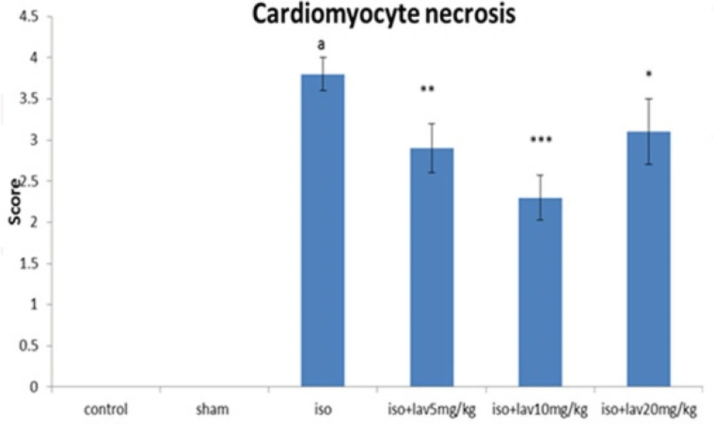 The effects of <i>L. angustifolia</i> administration on grading of histopathological changes in rats’s cardiac apex tissues (scores 1, 2, 3, and 4 show low, moderate, high and intensive pathological changes respectively). Data are expressed as mean ± sem (n =6). ªp <0.001 from respective control value; *p < 0.05; **p < 0.01; ***p < 0.001 as compared with isoproterenol treated group using one way ANOVA with Student-Newman-Keuls post hoc test. Iso: Isoproterenol, Lav: <i>L. angustifolia</i> essential oil.