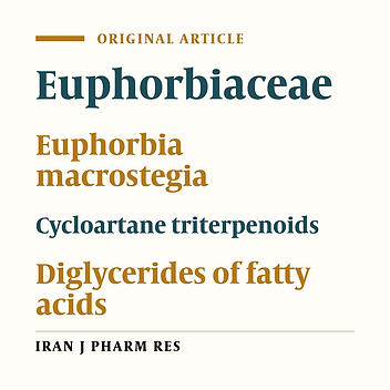 Cover image of the article: Phytochemical Investigation on Euphorbia macrostegia (Persian wood spurge)