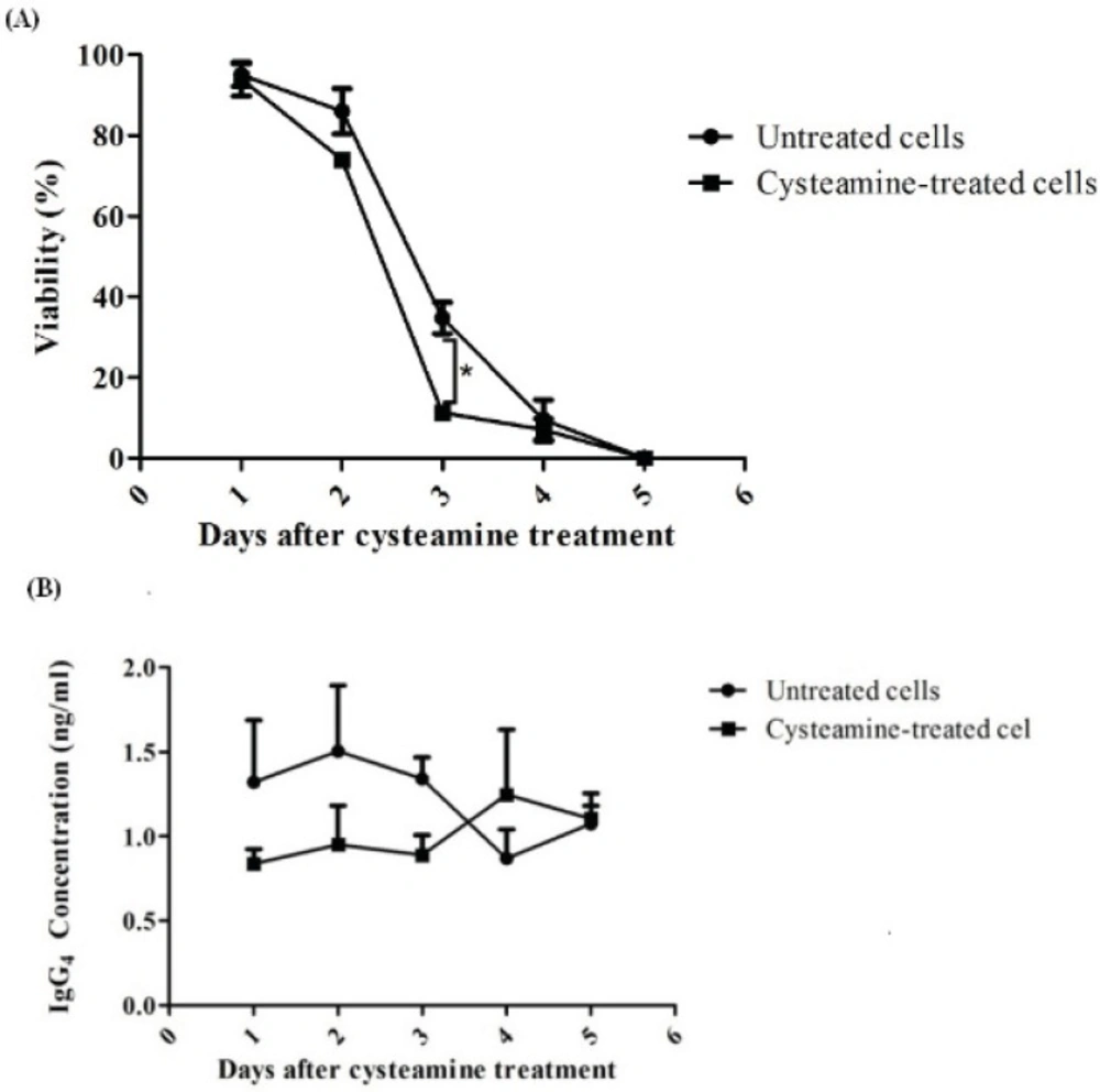 Assessment of late effect of cysteamine on rSp2.0. Cells were treated by 2 mM cysteamine. For 5 days cell viability (A) and IgG<sub>4</sub> concentration (B) were determined daily. The amounts of secreted IgG<sub>4</sub> were analyzed by ELISA. The viability was measured using the trypan blue dye exclusion method. *<i>P</i><0.05, two-tailed unpaired t-test.
