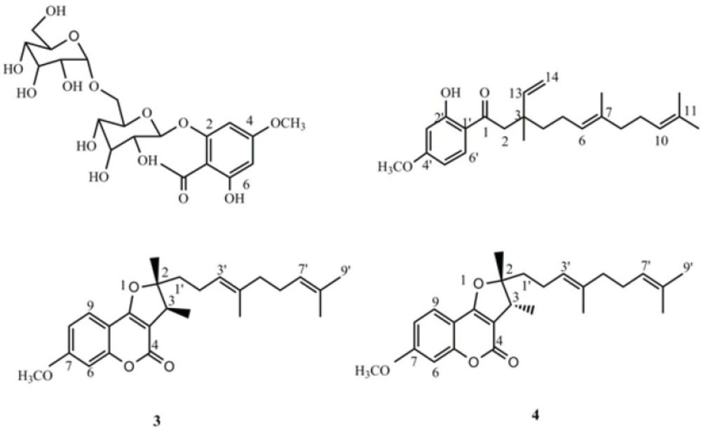 Structures of compounds 1-4