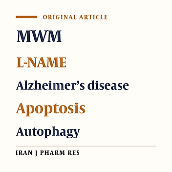 Ameliorating of Memory Impairment and Apoptosis in Amyloid β-Injected Rats Via Inhibition of Nitric Oxide Synthase: Possible Participation of Autophagy