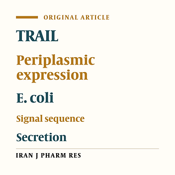 Periplasmic Expression of TNF Related Apoptosis Inducing Ligand (TRAIL) in E.coli