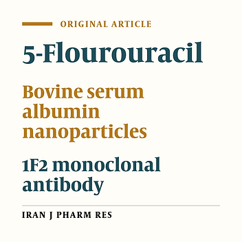 Targeted Delivery of 5-fluorouracil with Monoclonal Antibody Modified Bovine Serum Albumin Nanoparticles