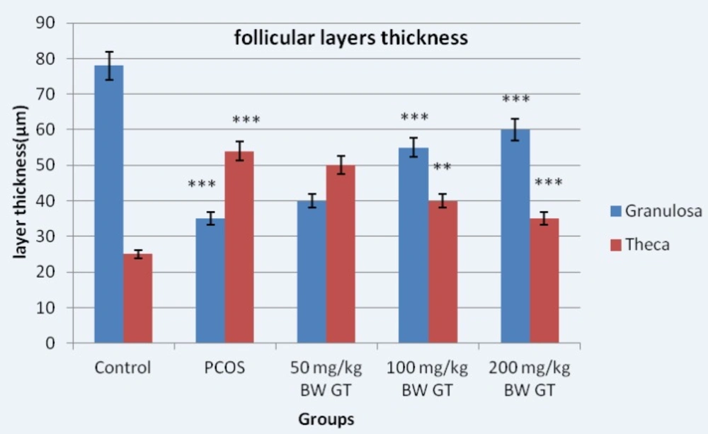Diameter of the granular and theca layers thickness in control, PCOS control and experimental groups. Measuring the thickness of follicular layers showed the thickness of the theca layer in the PCOS control group significantly increased compared to the control group. However, the thickness of the theca layer in the experimental groups significantly decreased compared to the PCOS control group. Relative to PCOS control group, <i><u>10</u></i><i>-</i><i><u>day</u></i> sequential treatment with the green tea extract resulted in a significant increase in theca and a significant decrease in granulosa layer thickness. ***P<0.001; **P<0.01.