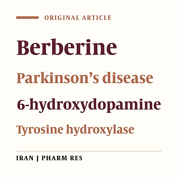 Berberine chloride pretreatment exhibits neuroprotective effect against 6-hydroxydopamine-induced neuronal insult in rat