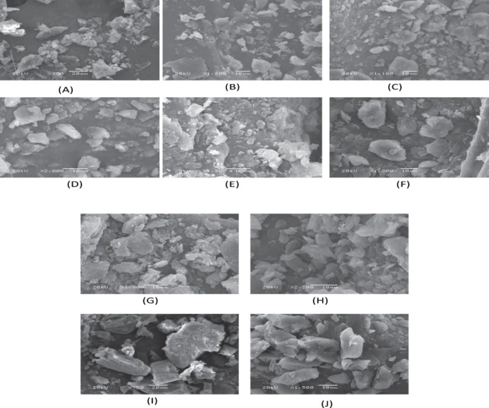 SEM images of (A) Stiripentol (B) PEG-6000 (C) PM-1 (D) PM-2 (E) SE-1 (F) SE-2 (G) MM-1 (H) MM-2 (I) CE-1 (J) CE-2.
