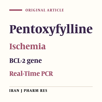 The Study of Pentoxifylline Drug Effects on Renal Apoptosis and BCL-2 Gene Expression Changes Following Ischemic Reperfusion Injury in Rat
