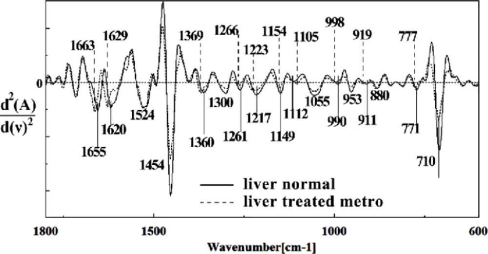 Second derivative of mean FTIR spectra of normal (solid line) and Metronidazole-treated (dot line) liver sections in the 600<sup>–1</sup>800 cm<sup>–1</sup> wave number region