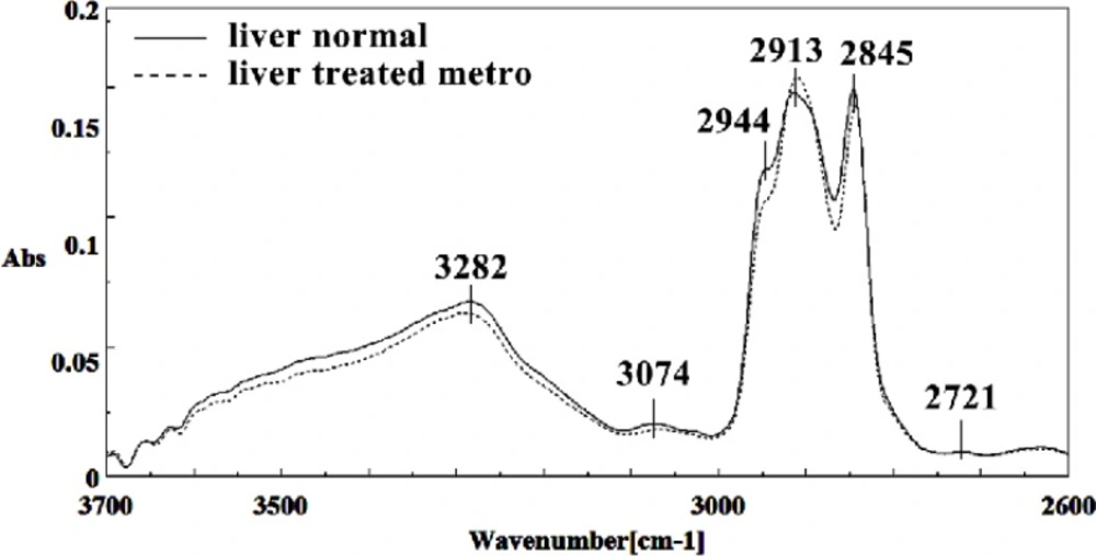 Mid-infrared spectra of normal (solid line) and Metronidazole treated (dot line) mice fetus liver sections in the 2600–3700 cm<sup>–1</sup> wave number region
