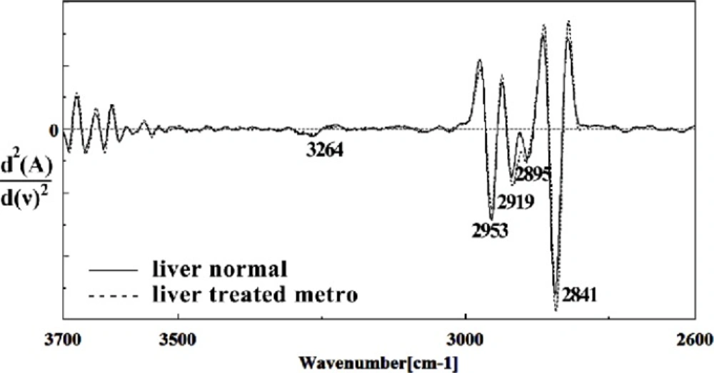 Second derivative of mean FTIR spectra of normal (solid line) and Metronidazole-treated (dot line) liver sections of mice fetus in the 2600–3700 cm<sup>–1</sup> wave number region