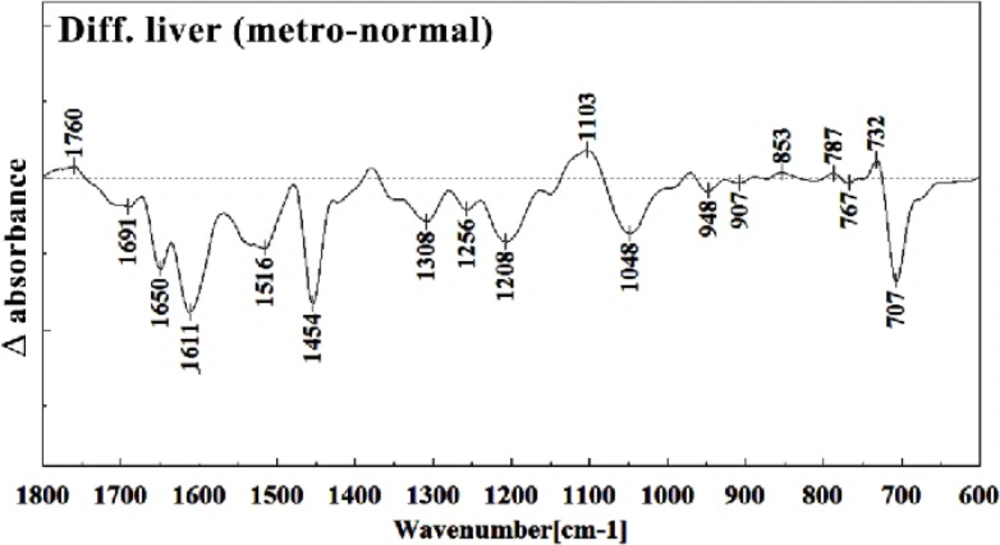 Difference FTIR spectra of Metronidazole-treated liver sections in the 600–1800 cm<sup>–1</sup> wave number region from normal liver sections (Metronidazole-treated liver sections spectra-normal liver sections spectra).