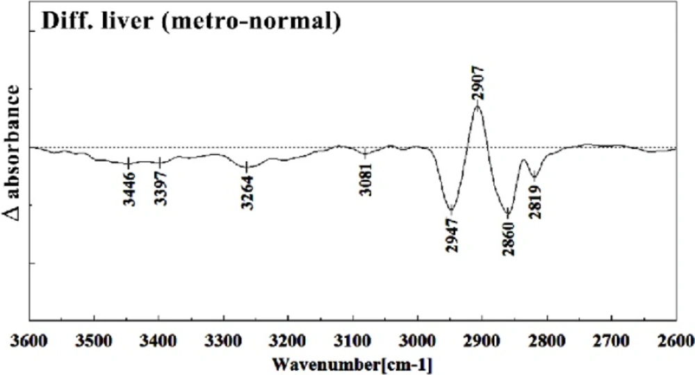 Difference FTIR spectra of Metronidazole-treated liver sections in the 2600–3700 cm<sup>–1</sup> wave number region from normal liver sections (Metronidazole-treated liver sections spectra-normal liver sections spectra).