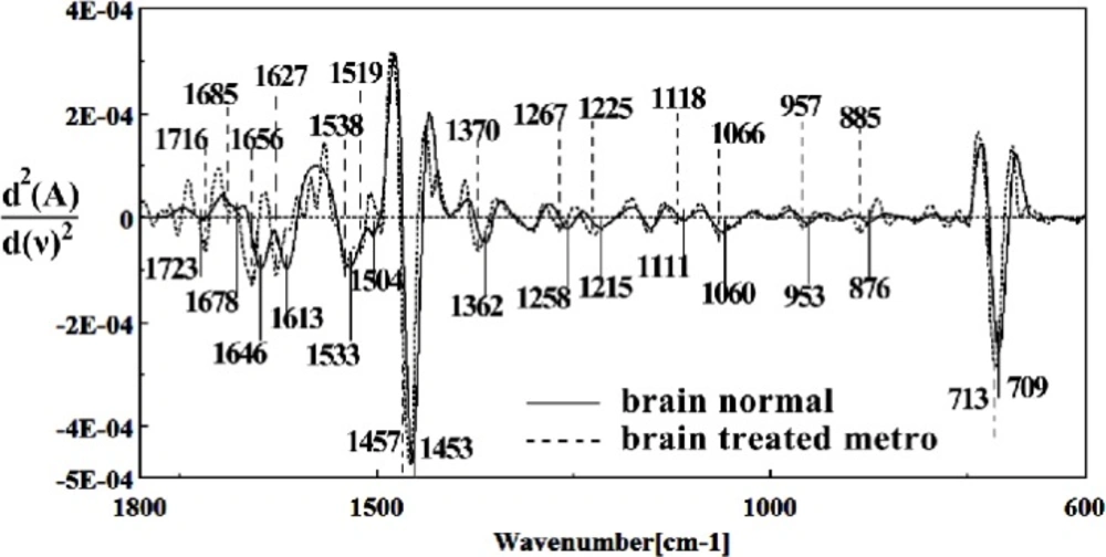 Second derivative of mean FTIR spectra of normal (solid line) and Metronidazole-treated (dot line) brain sections in the 600–1800 cm<sup>–1 </sup>wave number region