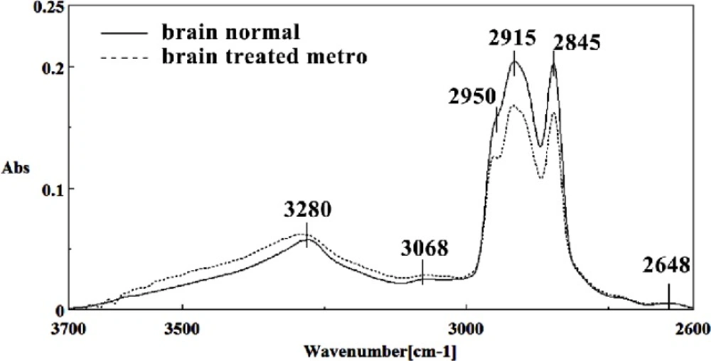 Mid-infrared spectra of normal (solid line) and Metronidazole treated (dot line) brain sections in the 2600–3700 cm<sup>–1</sup> wave number region