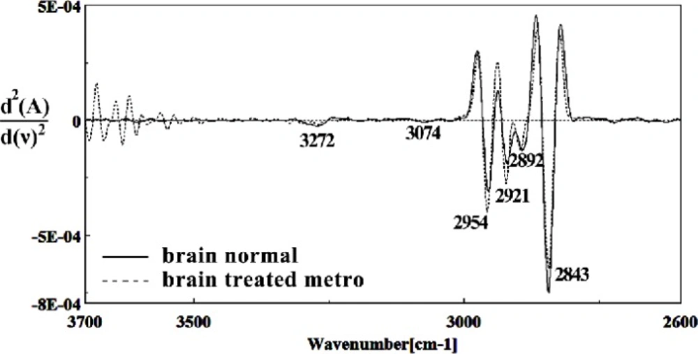 Second derivative of mean FTIR spectra of normal (solid line) and Metronidazole-treated (dot line) brain sections in the 2600–3700 cm<sup>–1</sup> wave number region
