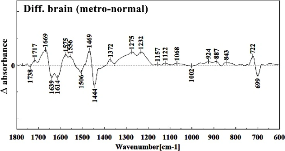 Difference FTIR spectra of Metronidazole-treated brain sections in the 600–1800 cm<sup>–1</sup> wave number region from normal brain sections (Metronidazole-treated brain sections spectra-normal brain sections spectra).