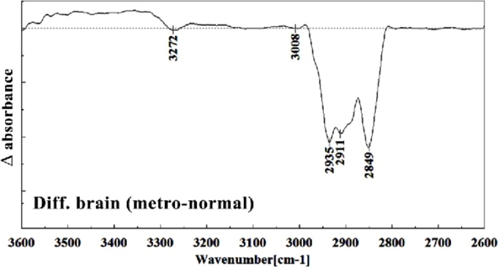 Difference FTIR spectra of Metronidazole-treated brain sections in the 2600–3700 cm<sup>–1</sup> wave number region normal brain liver sections (Metronidazole treated brain sections spectra-normal brain sections spectra).
