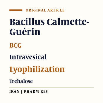 Challenges to Improve the Stability and Efficacy of an Intravesical BCG Product