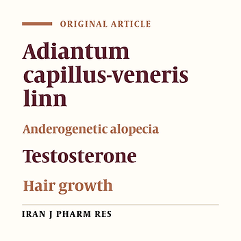 Effect of Adiantum Capillus veneris Linn on an Animal Model of Testosterone-Induced Hair Loss
