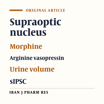 The Comparison of the Effects of Acute and Repeated Morphine Administration on Fast Synaptic Transmission in Magnocellular Neurons of Supraoptic Nucleus, Plasma Vasopressin Levels, and Urine Volume of Male Rats